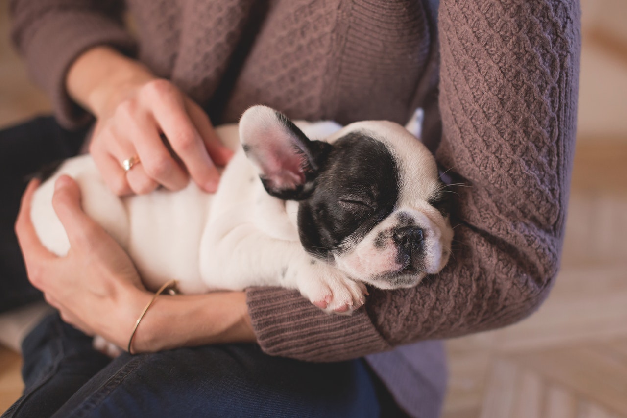 a woman holding a dog